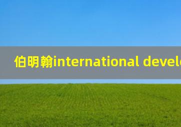 伯明翰international development